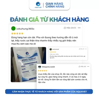 Đồng Sunfat CuSO4 - Phèn Xanh Diệt Nấm